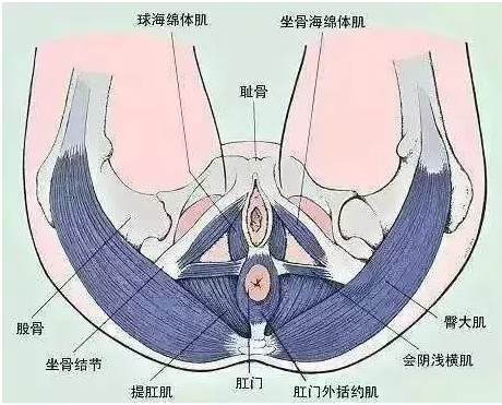 微信截图_20201123111932.png