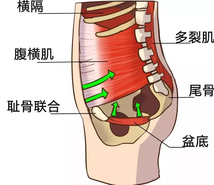 微信截图_20200813153758.png