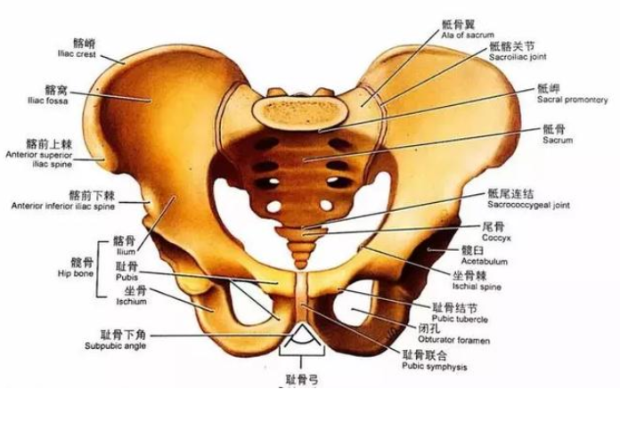 微信截图_20200421142625.png