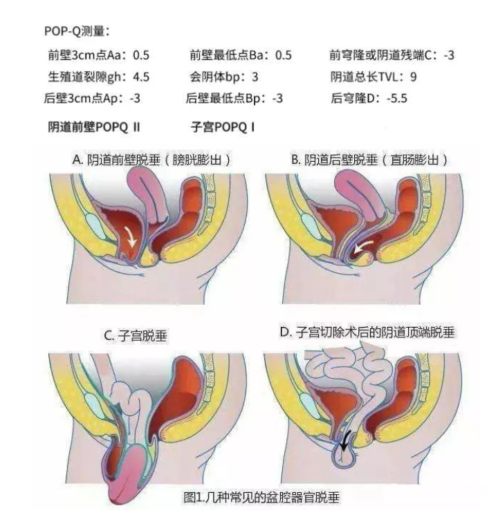 微信截图_20201211112903.jpg