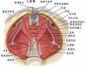 微信截图_20200421143412.png