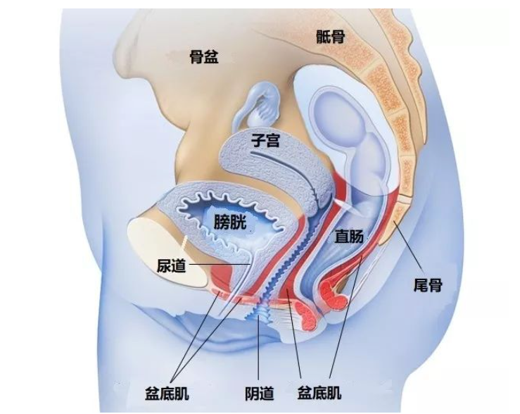 1631071498913702.png 微信截图_20210304112520.png