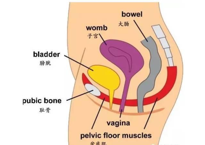 1632454849814762.png 微信截图_20200421142949.png