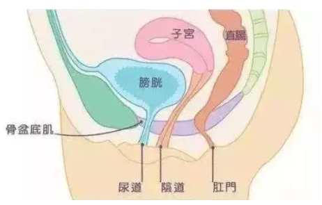 1637291733676315.png 微信截图_20211116164201.png