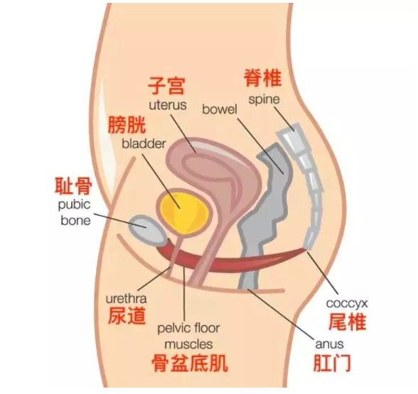 1645847331616969.png 微信截图_20211026141536.png