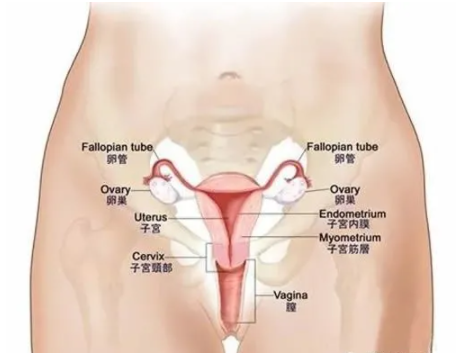 微信截图_20211116164006.png