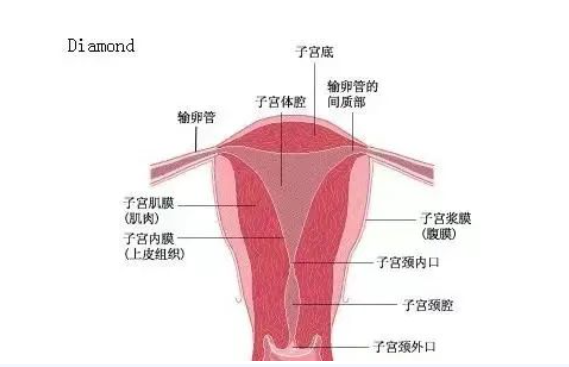 微信截图_20220812160046.png