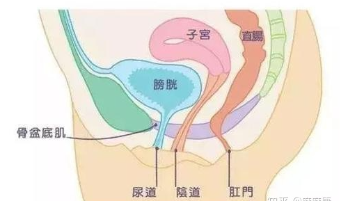 1667529219782255.png 微信截图_20220414164039.png