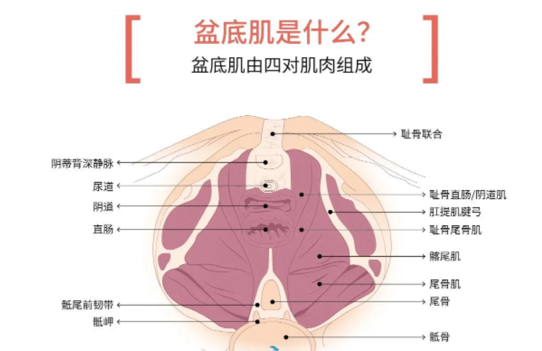 微信截图_20220414161650.png