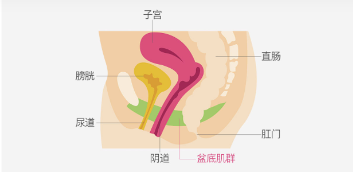 微信截图_20220414163952.png