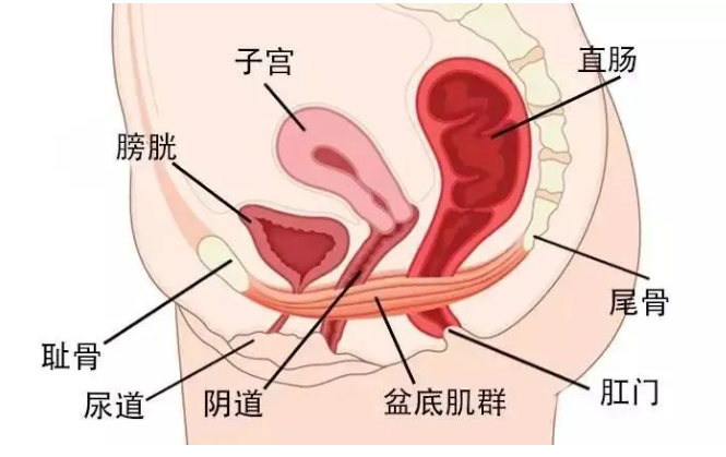 微信截图_20230517161407.png