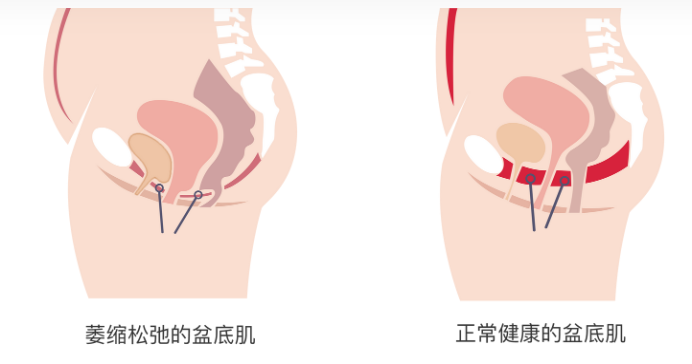 微信截图_20230517171305.png