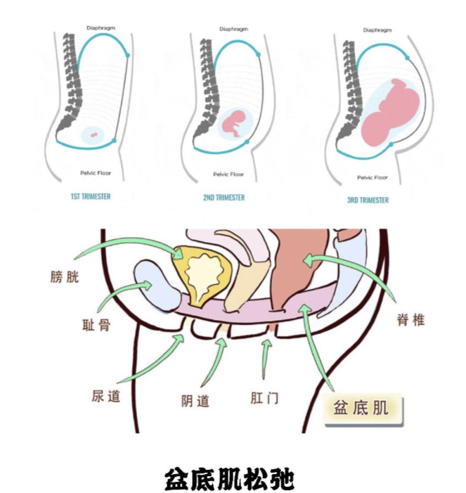 微信截图_20230704162511.png