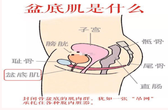 微信截图_20211116164321.png