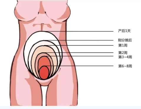 微信截图_20220812160104.png