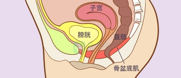 微信截图_20220414164550.png