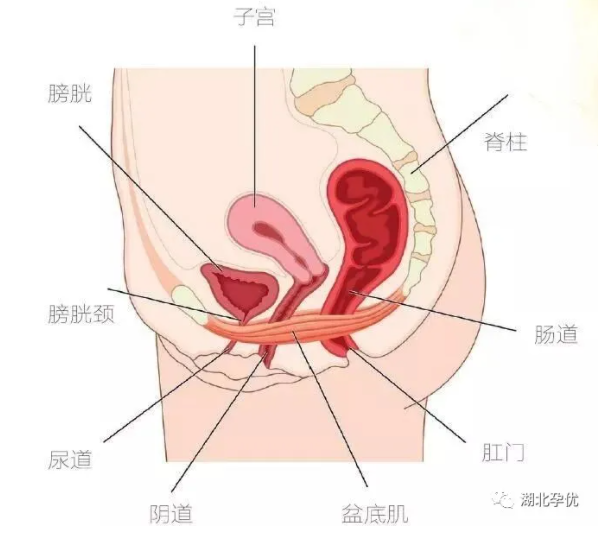 微信截图_20210902160404.png