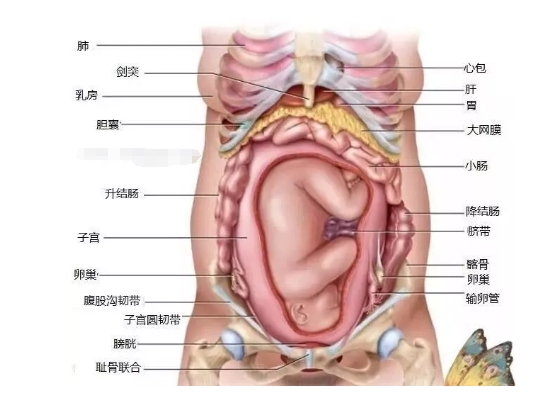 微信截图_20240812154106.png