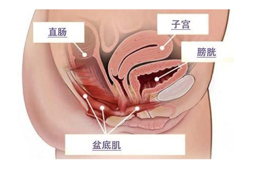 微信截图_20220611160439.png