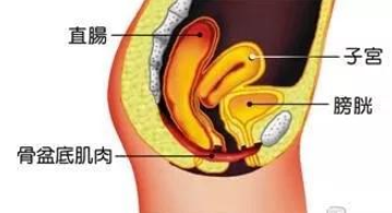 微信截图_20200421142656.png